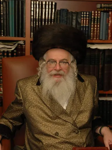 מוהרא״ש בשטריימל ובחליפה זהובה ליד ארון ספרים